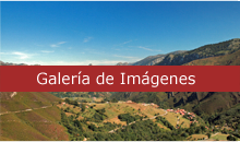 Banner a la galería de imágenes
