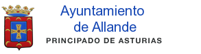 Allande City Council